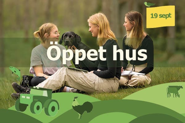 Öppet hus Naturbruksgymnasiet Kalmar 2026